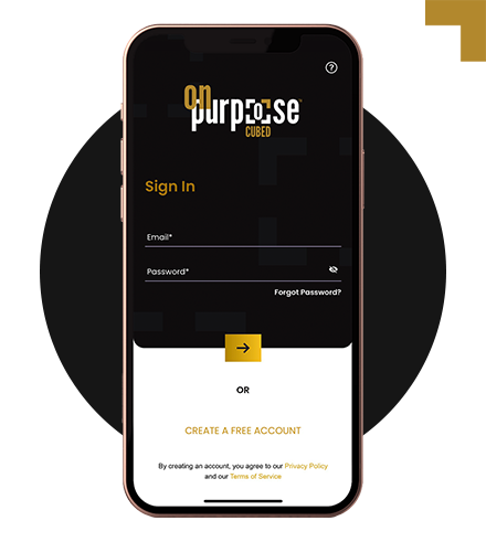 Support the OnPurposeCUBED Mission